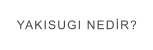 YAKISUGI NEDİR?