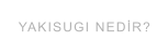 YAKISUGI NEDİR?