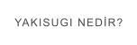 YAKISUGI NEDİR?
