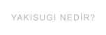 YAKISUGI NEDİR?